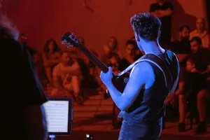 A guitarist performs live in an outdoor music concert at night. jigsaw puzzle