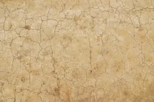 Close-up of cracked beige earth texture suitable for backgrounds and design projects. jigsaw puzzle