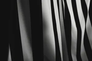 Abstract close-up of flowing black and white striped fabric showcasing elegant patterns. jigsaw puzzle