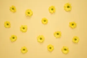 Bright yellow flowers arranged on a seamless yellow background for summer-themed design. jigsaw puzzle