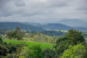 natural jigsaw puzzle