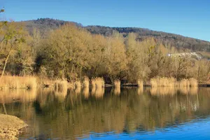 landscape jigsaw puzzle
