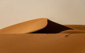 desert jigsaw puzzle