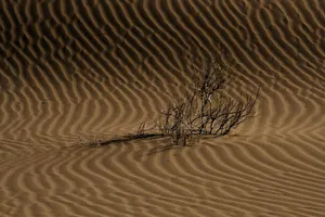 desert jigsaw puzzle
