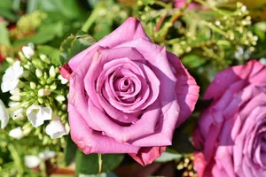rose jigsaw puzzle
