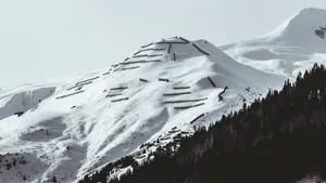 snow jigsaw puzzle