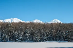 snow jigsaw puzzle