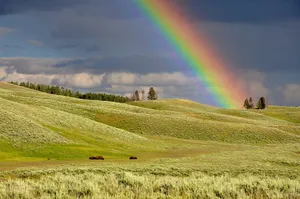 rainbow jigsaw puzzle