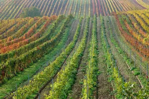 countryside jigsaw puzzle