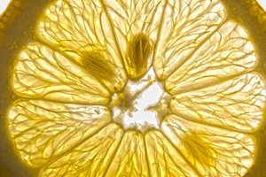lemon jigsaw puzzle