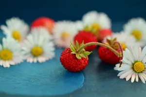 strawberries jigsaw puzzle