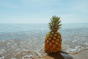pineapple jigsaw puzzle