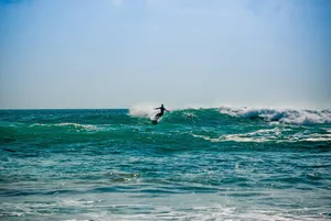 surf jigsaw puzzle