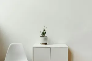 green plant on white cabinet jigsaw puzzle