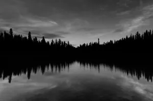 body of water near trees under cloudy sky jigsaw puzzle