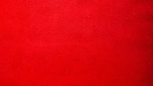 a red carpet with a black cat laying on top of it jigsaw puzzle