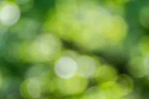 green and yellow light bokeh jigsaw puzzle