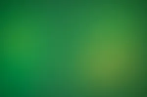a blurry green background with a white border jigsaw puzzle
