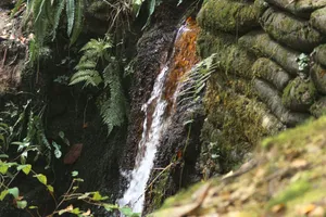 A small waterfall in the middle of a forest jigsaw puzzle
