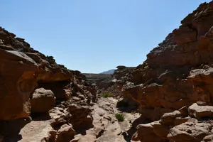 A rocky area with rocks and plants growing out of it jigsaw puzzle