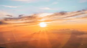 golden hour selective photography jigsaw puzzle