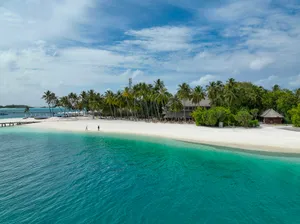 a white sandy beach surrounded by palm trees jigsaw puzzle