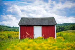 red and white wooden barn surrounded by grass fieeld jigsaw puzzle