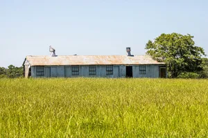 A barn in a field of tall grass jigsaw puzzle