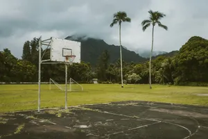 white and red basketball hoop near green grass field during daytime jigsaw puzzle