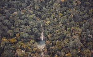 Discover the serene beauty of a dense forest from above, featuring a hidden waterfall amidst vibrant foliage. jigsaw puzzle