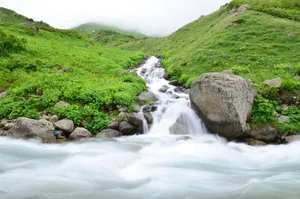A tranquil stream flows through lush green hills, surrounded by rocks and vibrant vegetation. jigsaw puzzle