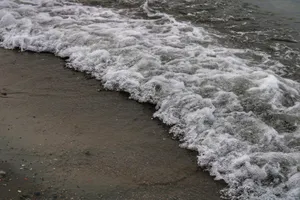 Waves gently crash onto a sandy beach, creating sea foam under a cloudy sky. jigsaw puzzle