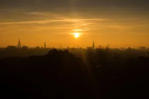 Golden sunset over a city skyline with silhouetted buildings and trees. jigsaw puzzle