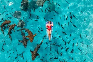 A woman floats on a raft surrounded by sharks in the clear Maldives waters. jigsaw puzzle