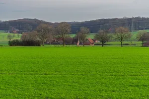 Idyllic rural landscape featuring lush green fields and traditional farmhouses. jigsaw puzzle