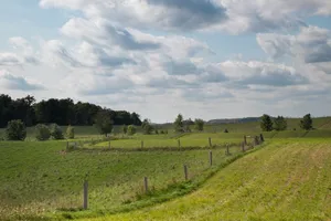 Peaceful countryside scene with grassy fields, trees, and a wooden fence under a cloudy sky. jigsaw puzzle
