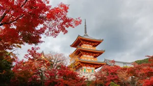 Beautiful view of Kiyomizu-dera Temple surrounded by vibrant autumn foliage in Japan. jigsaw puzzle