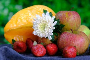Vibrant still life of apples, strawberries, starfruit, and a chrysanthemum on a dark fabric backdrop. jigsaw puzzle