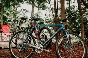 Group of mountain bikes parked outdoors in a scenic forest setting. jigsaw puzzle