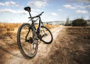 Explore the thrill of off-road biking with this mountain bike on a rugged dirt path. jigsaw puzzle