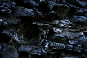 Detailed macro image of dark charcoal texture, showcasing intricate patterns and contrasts. jigsaw puzzle