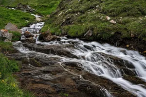 river jigsaw puzzle