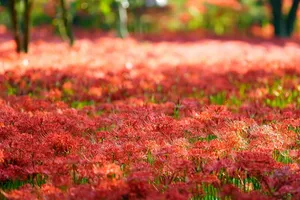 synchronization jigsaw puzzle