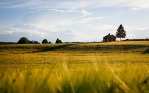 barn jigsaw puzzle