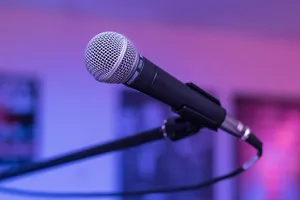 microphone jigsaw puzzle