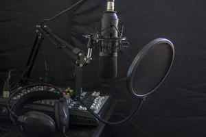 microphone jigsaw puzzle
