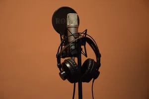 microphone jigsaw puzzle