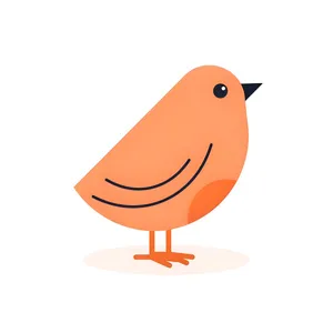 bird jigsaw puzzle
