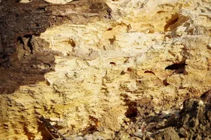 the texture of the wood jigsaw puzzle