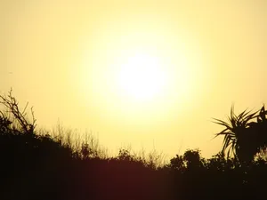 sun jigsaw puzzle